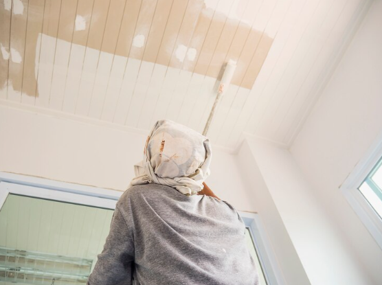 Painters